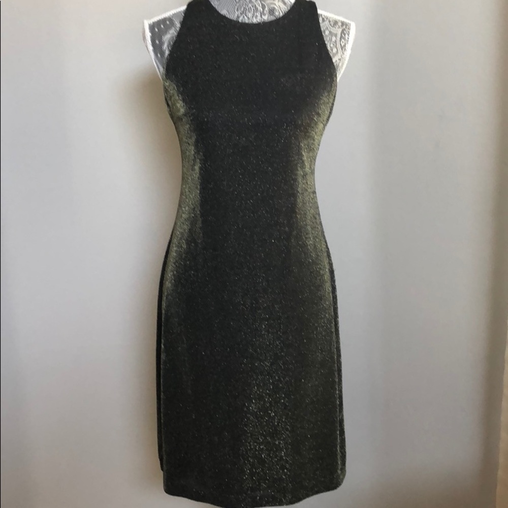 Shimmery Dress s.8
